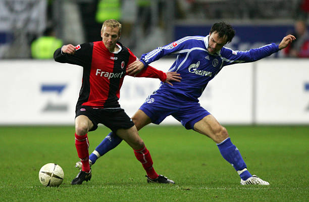 从近年来的 从近年来的